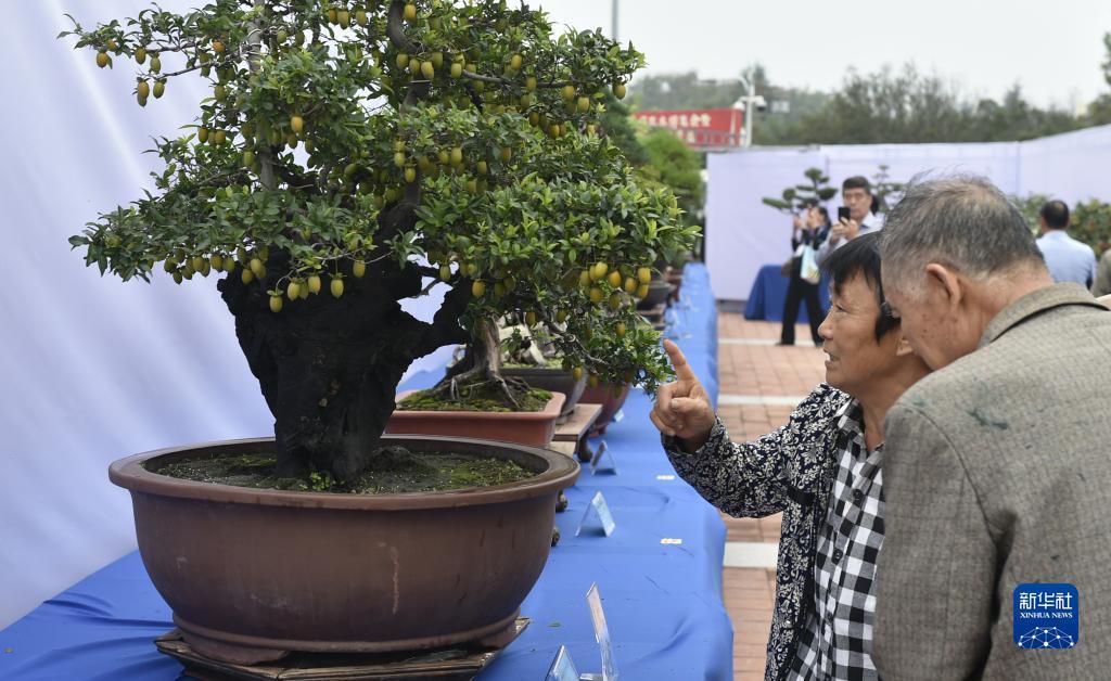 大宝游戏